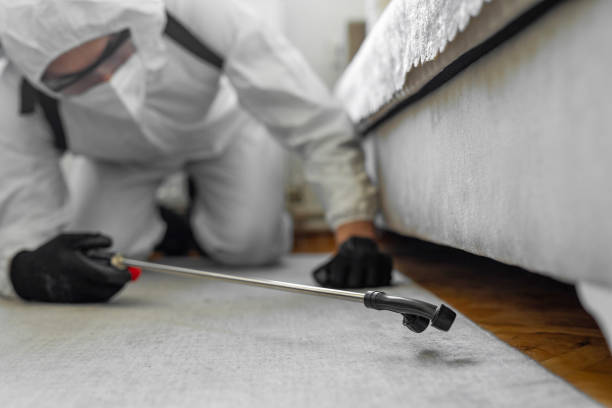 Professional Ant Control technician working in Payson, IL