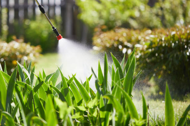 24/7 Emergency Wasp Removal experts in Payson, IL