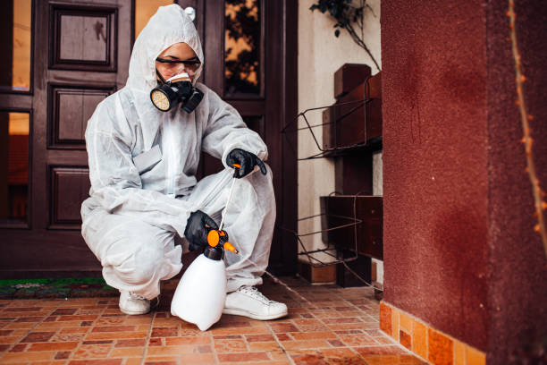 Reliable Wasp Removal contractor in Payson, IL by Show Me Pest Control