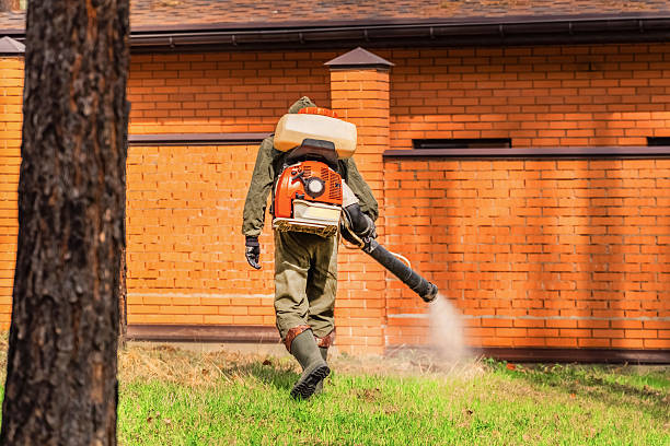 Top rated local Wasp Removal specialists in Payson, IL